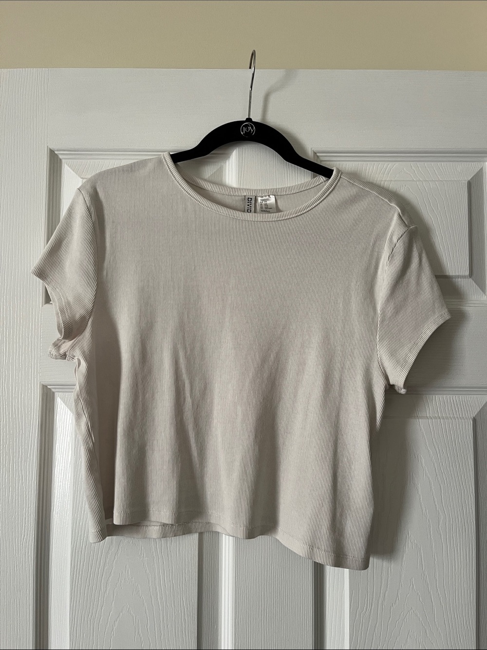 Divided Cropped tshirt